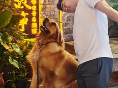 -重庆十八梯传统风貌区