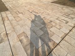 -盘龙城国家考古遗址公园