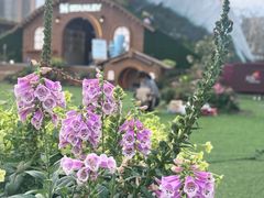 -首开·龙湖成都西宸天街