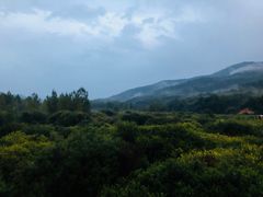 -塞罕坝国家级自然保护区