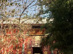 -兴教寺