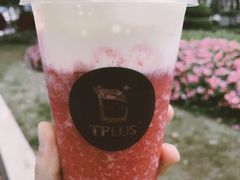 -TPLUS茶家(淮海店)