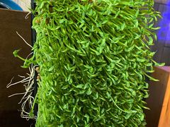 -湊湊火锅·茶憩(南京东路悦荟店)