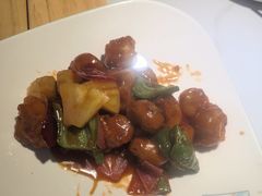 -鸽小宝(深圳首店)