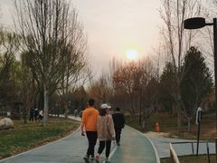 -回龙观体育文化公园