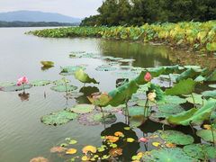-池州市平天湖风景区