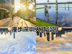 -深圳人才公园