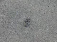 -北海市海滨公园