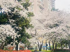 -中国银行(上海市新闸路支行)