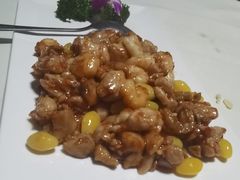 -丁老爷子苏香圆