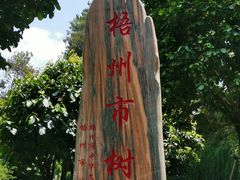 -白云山风景名胜区