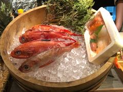 -三川·十酒Izakaya(南昌路店)
