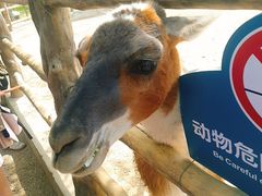 -西安秦岭野生动物园