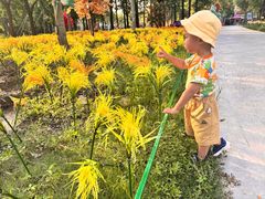 -歌斐颂巧克力小镇