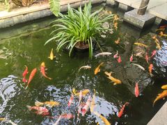 -三亚亚龙湾五号度假别墅酒店