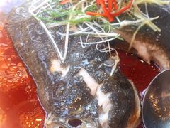 清蒸桂鱼-ZEN采蝶轩·粤味臻鲜·手作点心·商务宴请(泰州店)