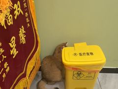 -悦宠动物医院(京丰分院)
