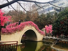-西安曲江寒窑遗址公园