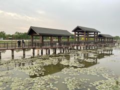 -天津东丽湖风景区