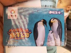 -华夏文旅海洋公园