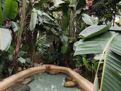 -稷泽·海丽宾雅温泉度假酒店