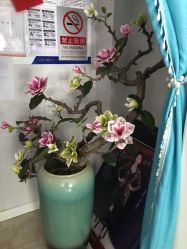 点击看大图 -玛妮雅科技纤体美容
