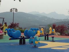 -铁山坪森林公园