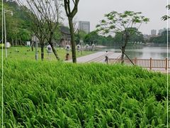 -顺峰山公园
