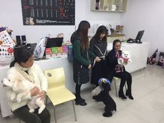 -汪小喵宠物·戴维斯乐芳希施宠馨宝皮毛调理洗护店