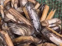 -喜来酌海鲜·饺子(和平一店)