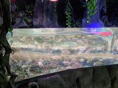 -左海海底世界