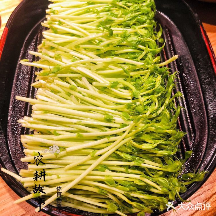 人均不到80的农耕故事湖南乡下菜㊙️
