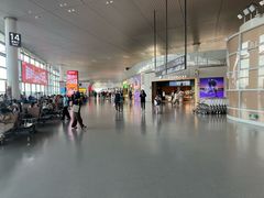 -麦当劳(禄口机场T2航站楼)