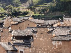 -杨家堂村