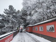 -妙峰山风景名胜区