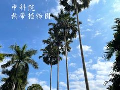 -中国科学院西双版纳热带植物园