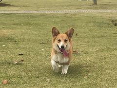 -钟山体育运动公园