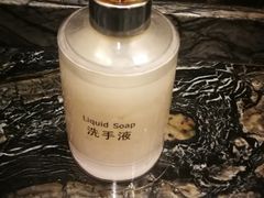 -武汉江城明珠豪生大酒店