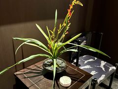 -湯記傳菜