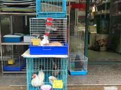 -本溪路花鸟市场(江浦路1709弄小区店)