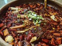 -青城甲(青城山店)