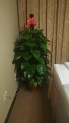 -AnTing岸汀·美容SPA