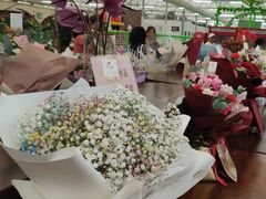 -荷兰花海