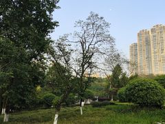 -龙头寺公园
