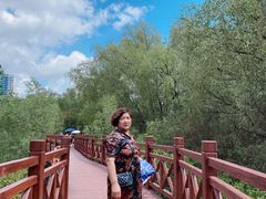 -大亚湾红树林城市湿地公园