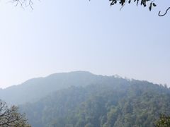 -云南屏边大围山国家公园