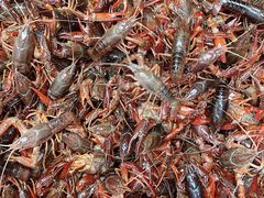 -青石桥市场北1-27号