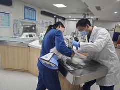 -谐和贝康宠物医院24小时·宠保定点(急重症转诊中心)