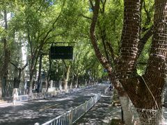 -杭州半山国家森林公园