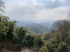 -莫干山风景区